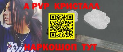 СК Владивосток
