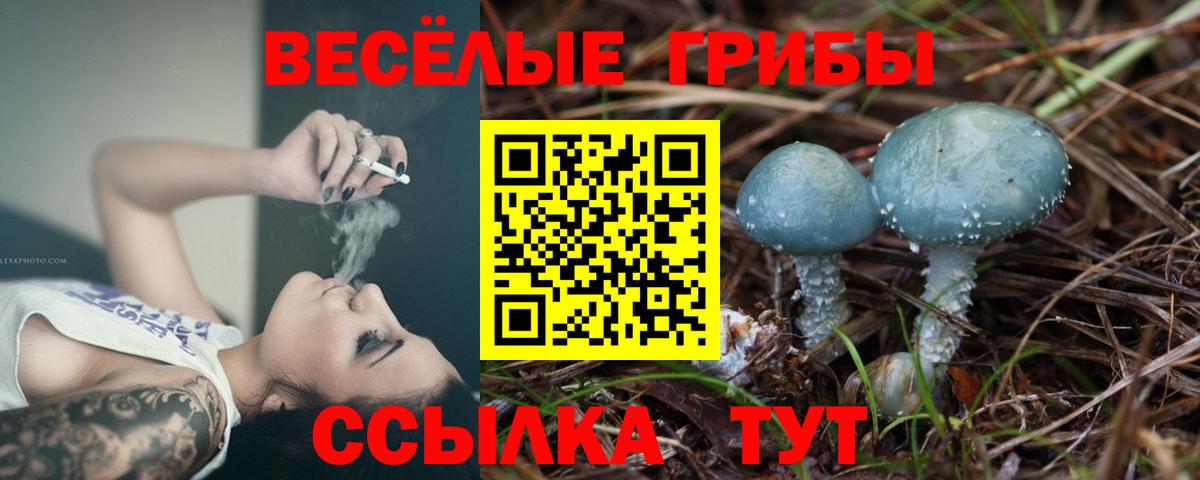Нурлат  Галлюциногенные грибы прущие грибы  Вход с VPN 